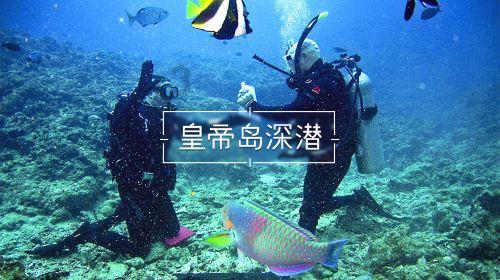 亚马逊“监控”员工偷懒被罚约2.5亿人民币